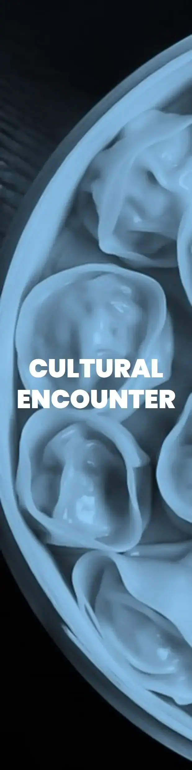 Cultural Encounter Dumplings