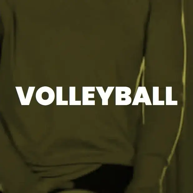 Volleyball